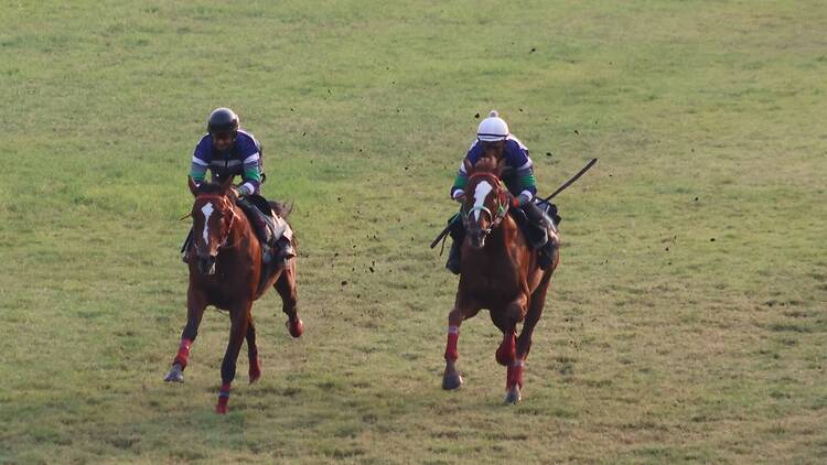 The Zavaray S. Poonawalla Racing Carnival
