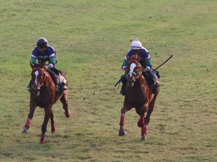The Zavaray S. Poonawalla Racing Carnival