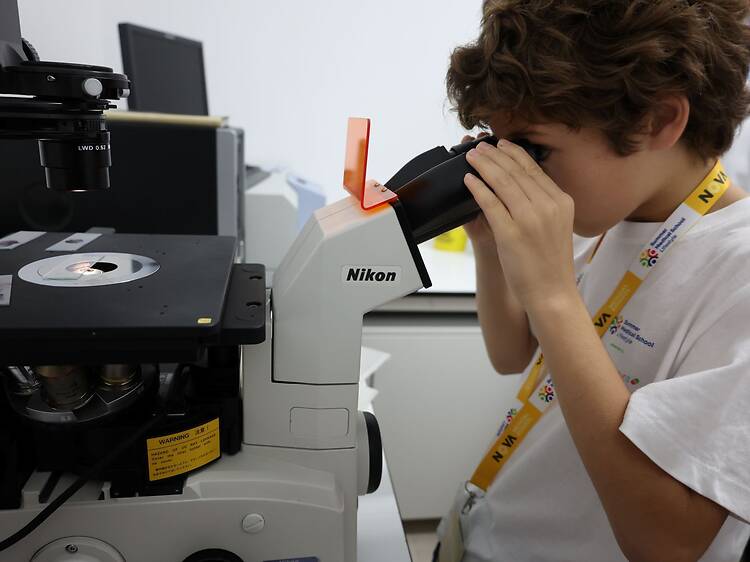 Neste programa de Verão, os miúdos vestem a bata branca Neste programa de Verão, os miúdos vestem a bata branca