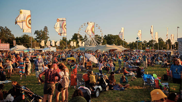 WOMAD festical WOMAD festical