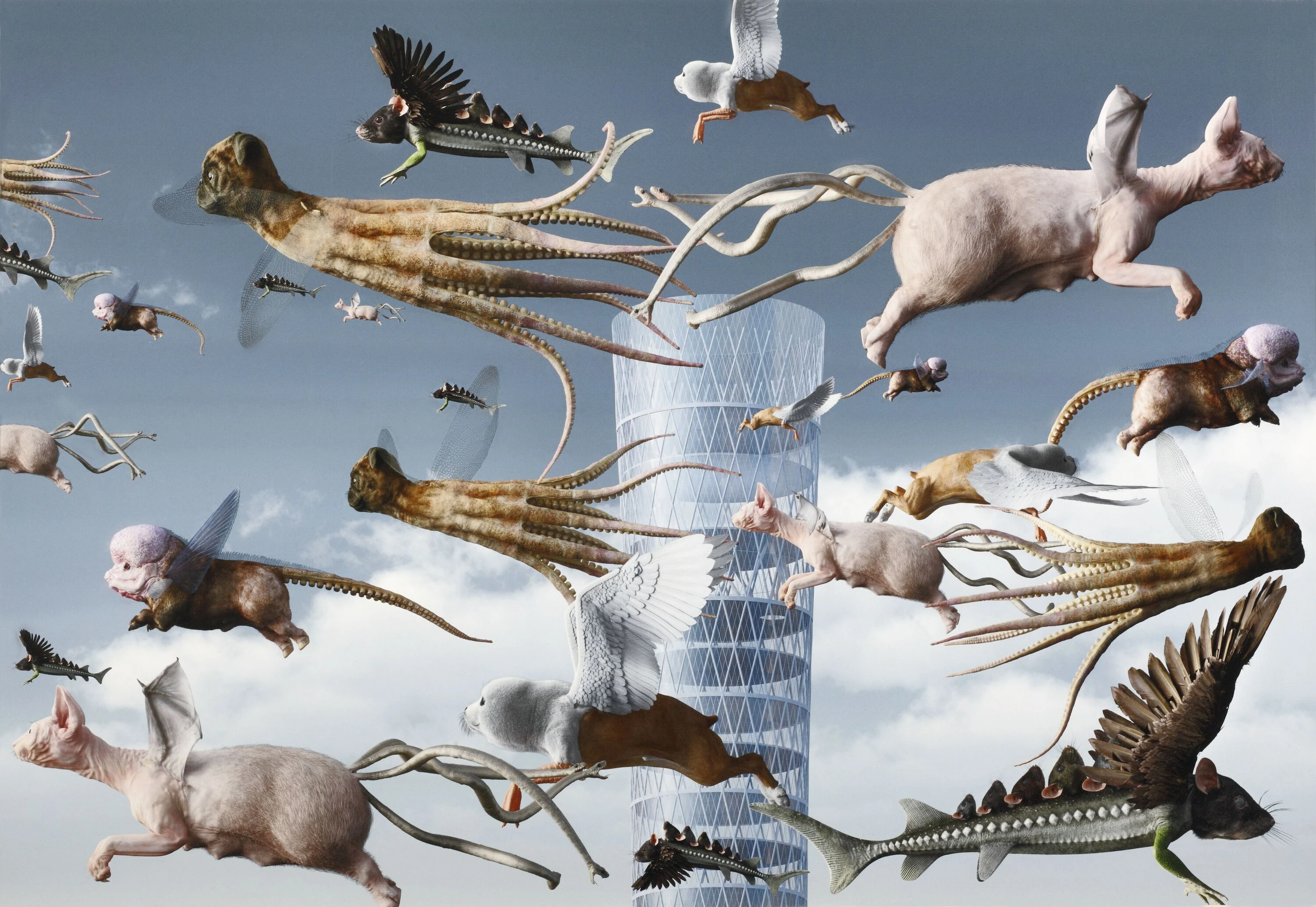 A la manera del Bosco. Fundaci&oacute;n Juan March