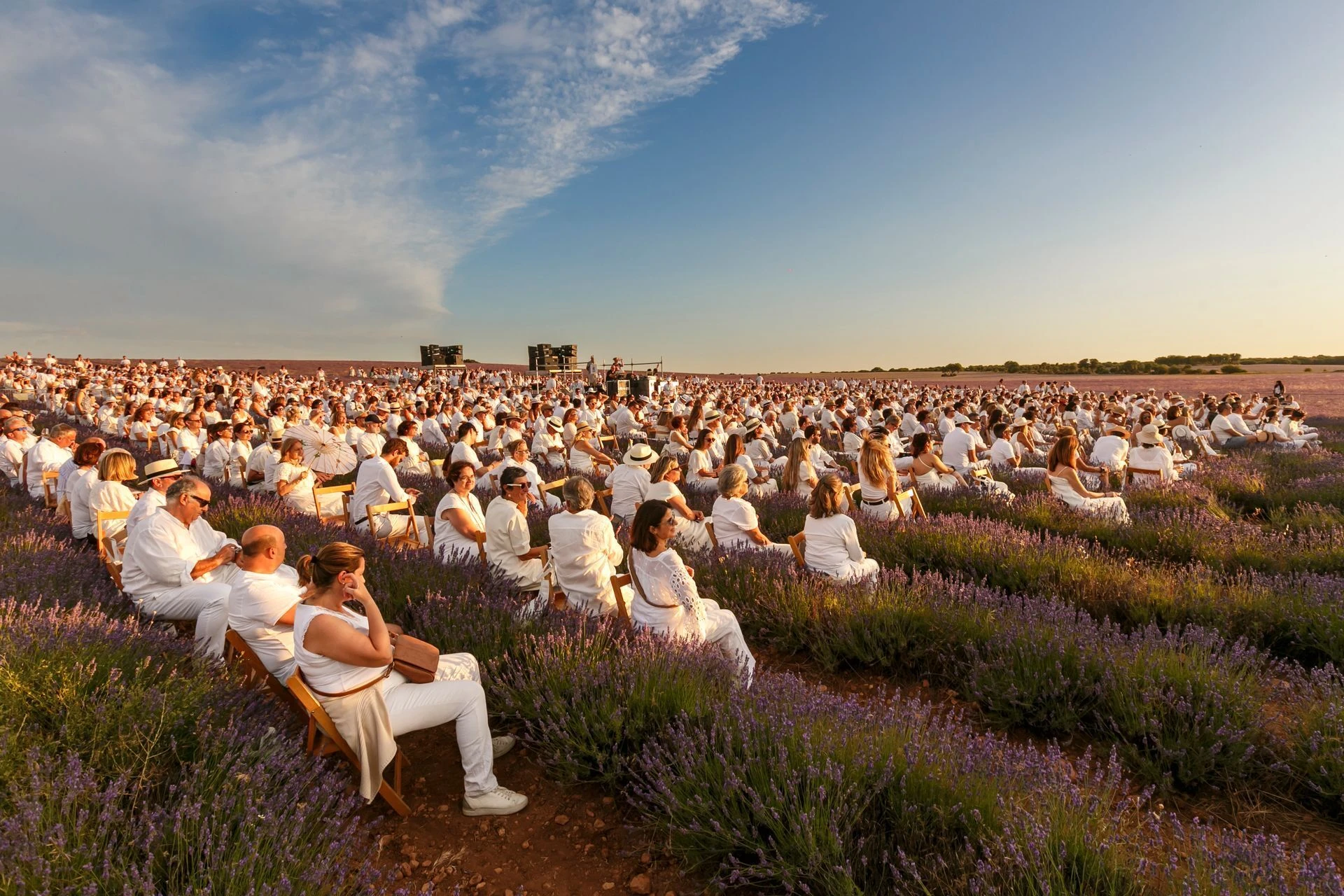Festival de la Lavanda