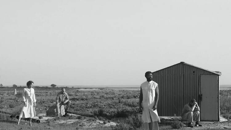 Combate de Negro e de Cães