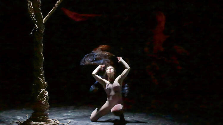 Alexander Whitley Dance Company: The Rite of Spring / Mirror Alexander Whitley Dance Company: The Rite of Spring / Mirror