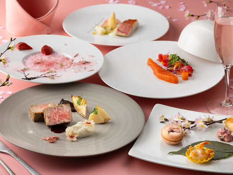 SAKURAコース SAKURAコース