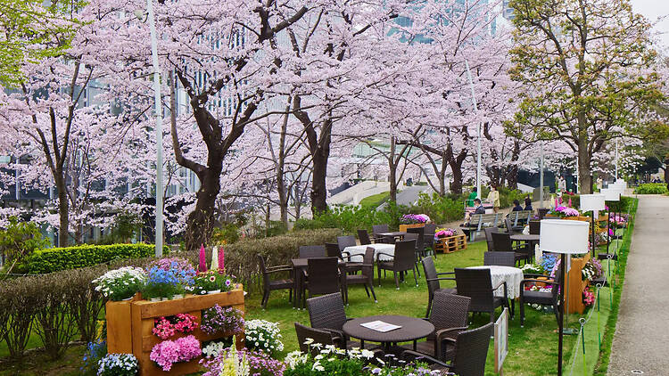 東京、テラスで楽しめる桜イベント5選