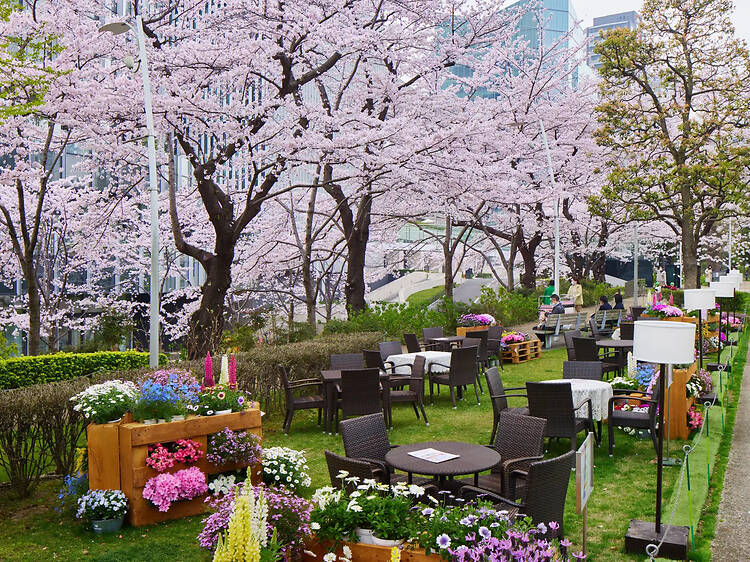 東京、テラスで楽しめる桜イベント5選