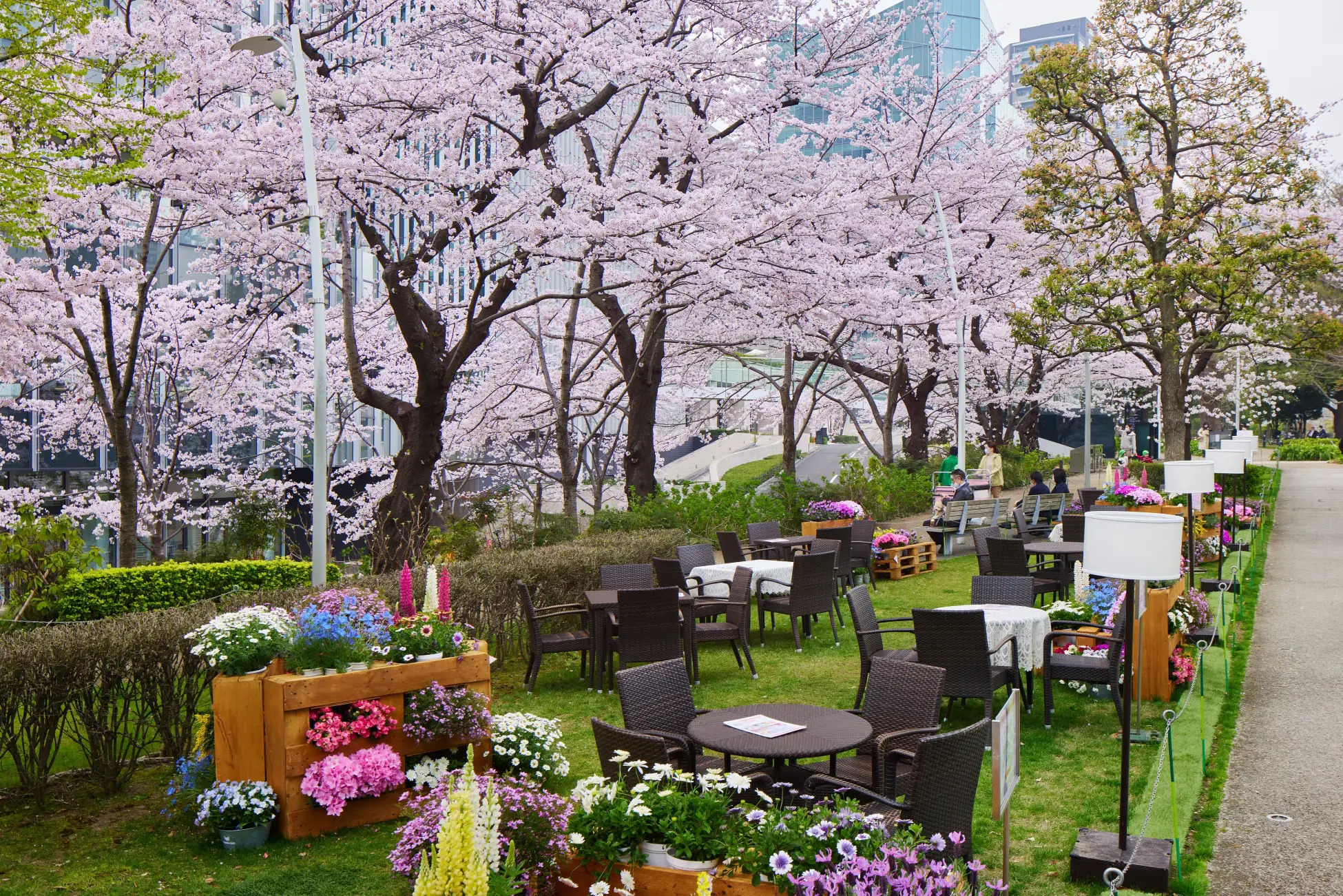 東京、テラスで楽しめる桜イベント5選