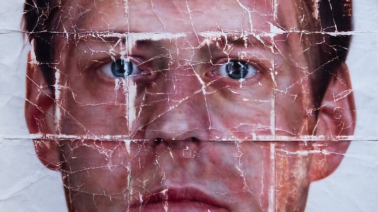 document / skin document / skin