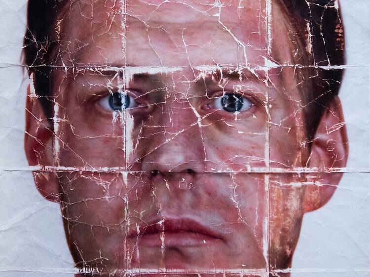 document / skin document / skin