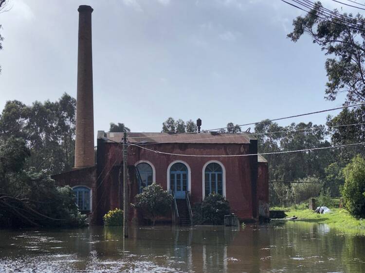 Fábrica de Pólvora do Seixal considerada um dos espaços patrimoniais mais ameaçados da Europa