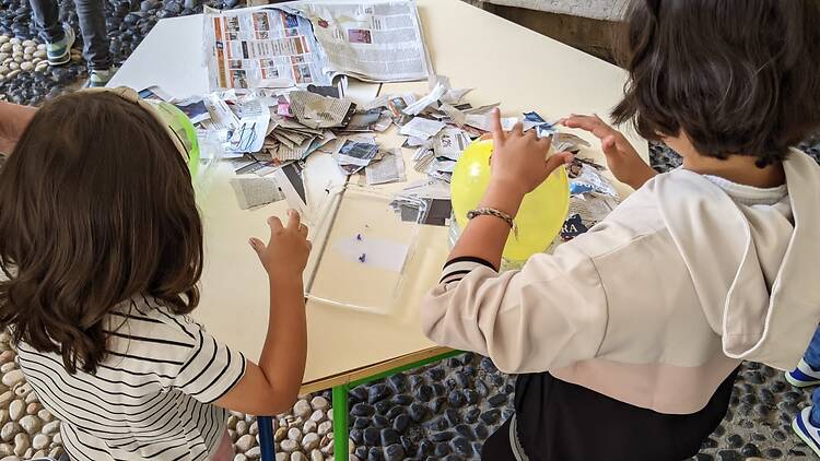 Pássaros únicos e coloridos