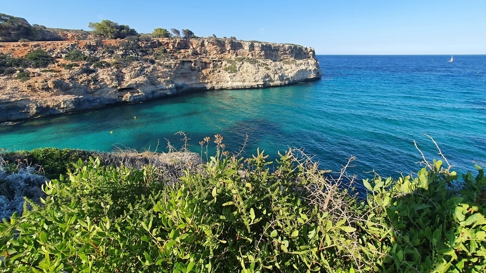Blue sea at Calas de Mallorca