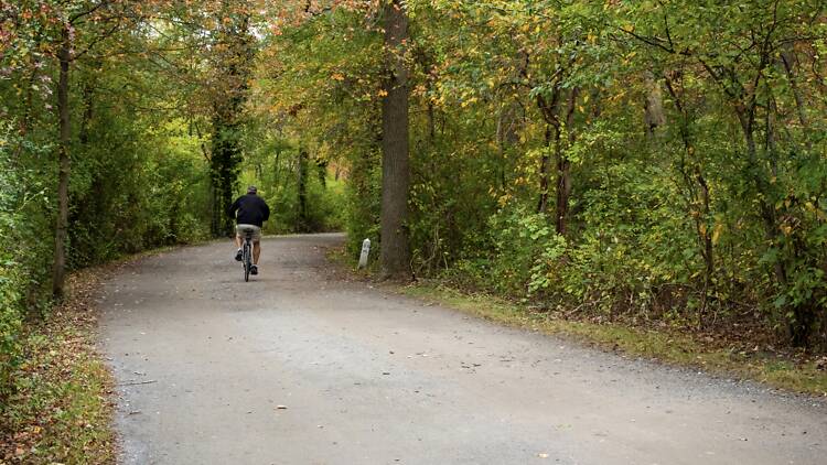 Bike trail in New York