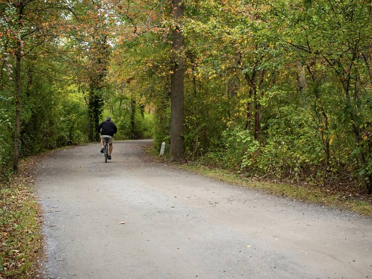 These are most scenic bike trails in New York