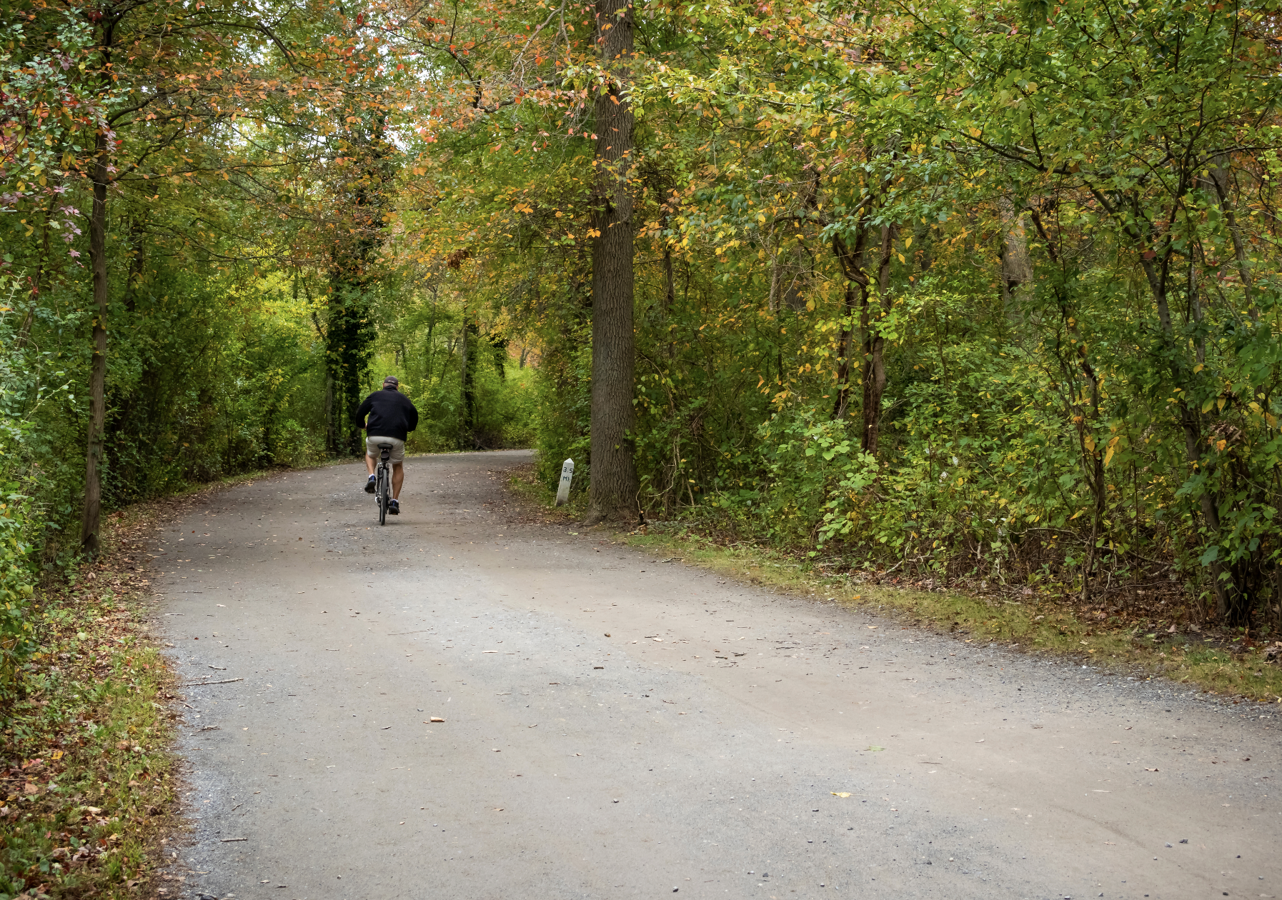These are most scenic bike trails in New York