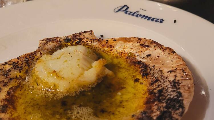 Scallops in a shell with butter