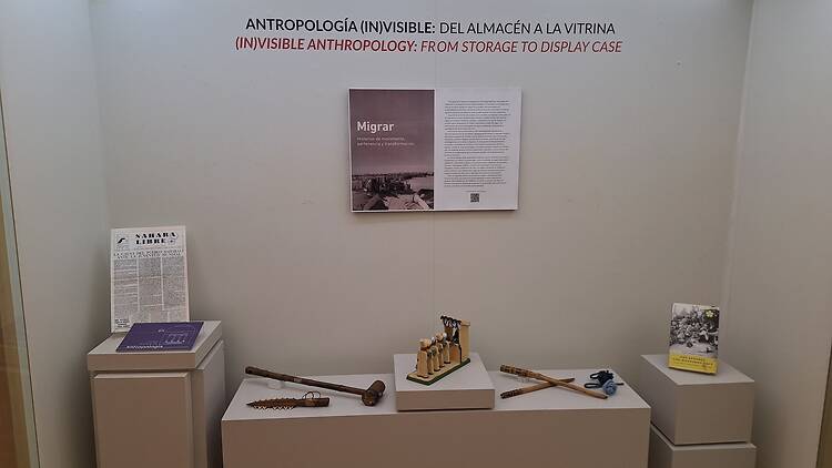 Migrar. Historias de Movimiento, Pertenencia y Transformación