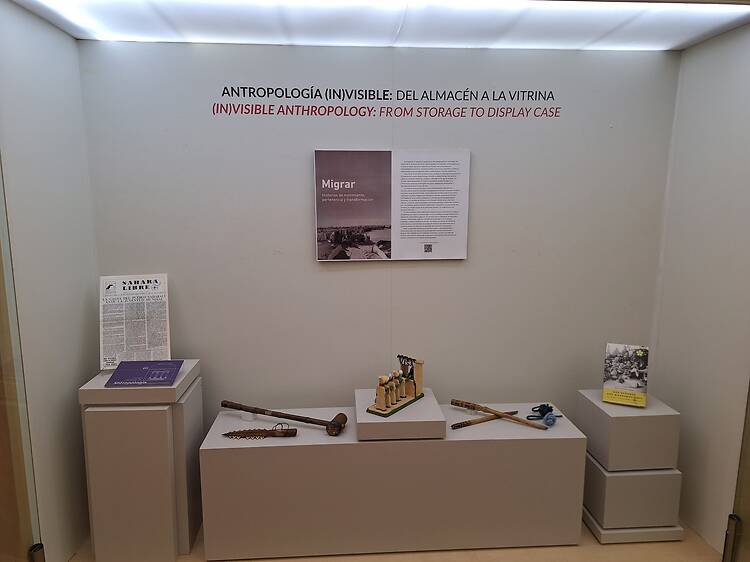 Migrar. Historias de Movimiento, Pertenencia y Transformación