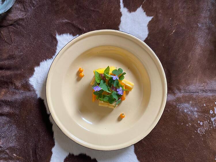 Indigenous fine dining: The hottest ticket in Joburg this march