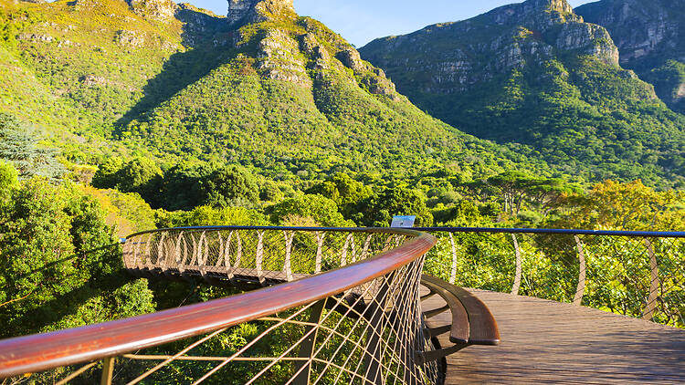 Kirstenbosch for something underrated