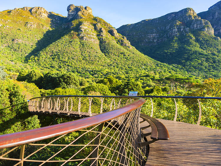 Kirstenbosch for something underrated