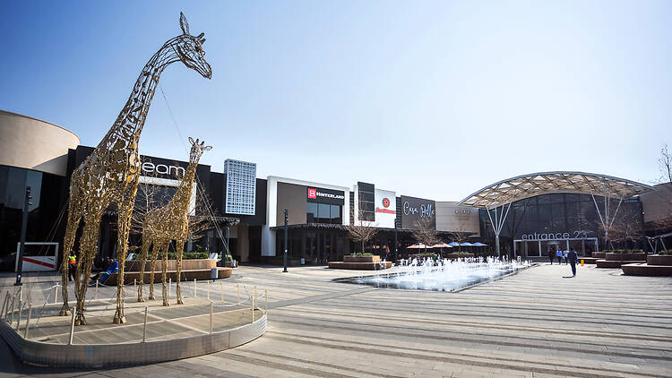 Neighbourhood Diaries: Midrand