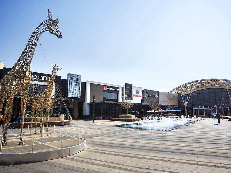 Neighbourhood Diaries: Midrand