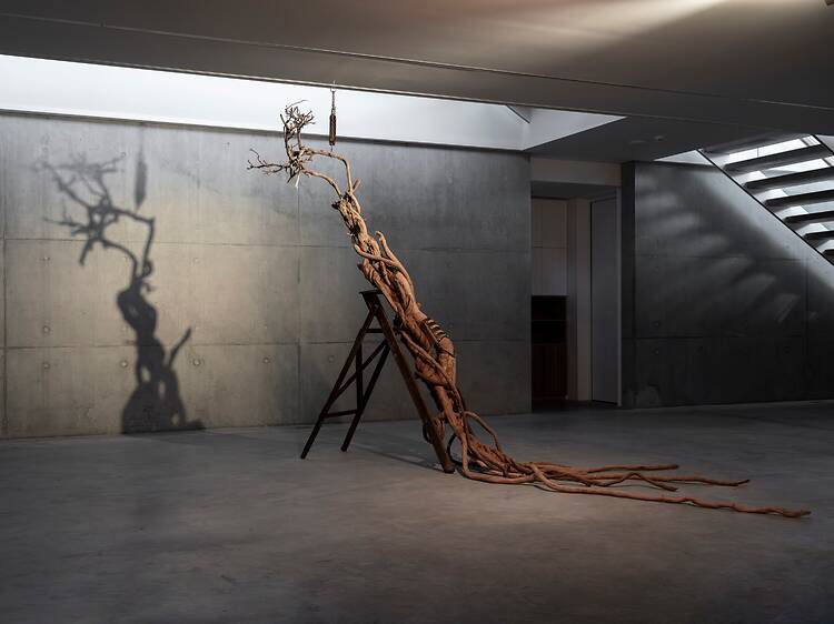 Canavarların Vaatleri