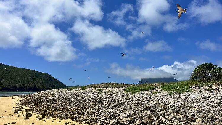 Lord Howe Island, NSW