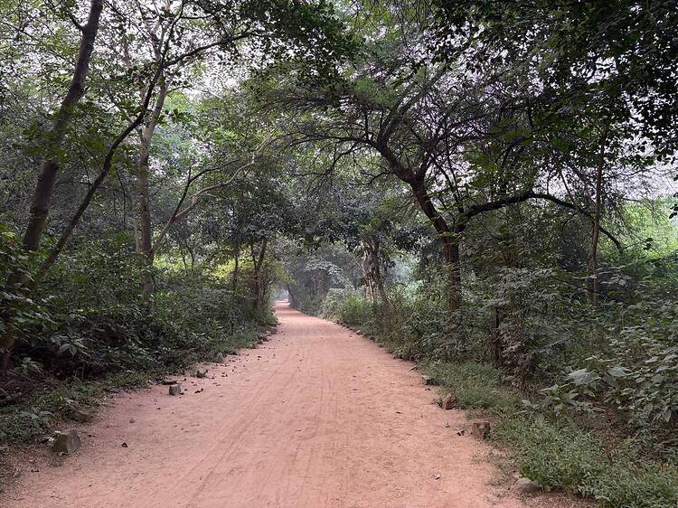 Sanjay Van