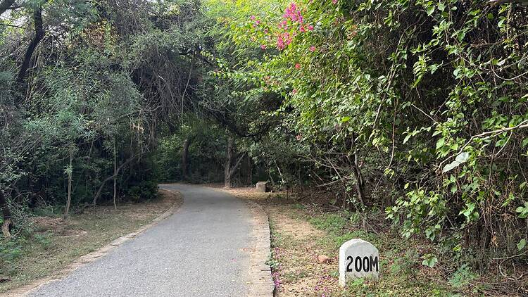 Jahanpanah City Forest