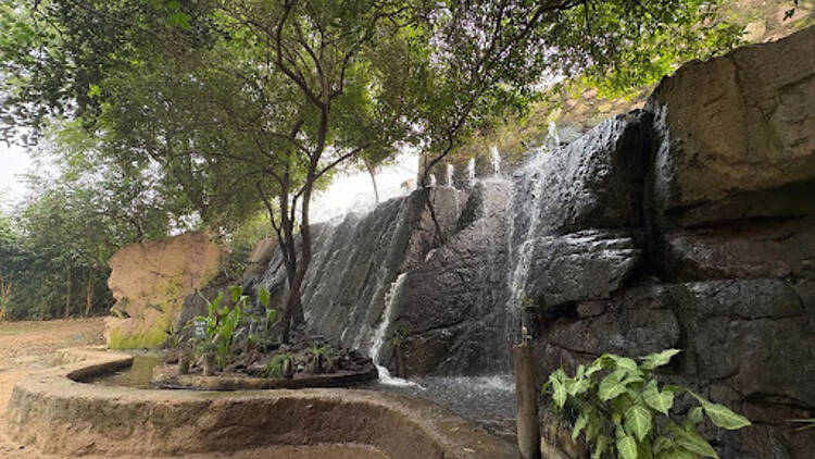 Sanjay Van Sanjay Van