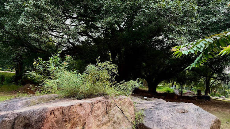Nehru Park