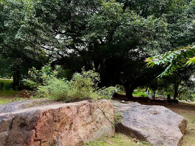 Nehru Park