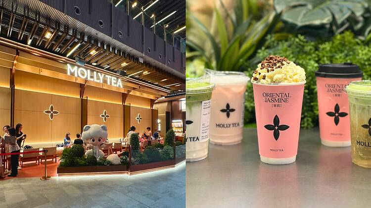 Molly Tea Orchard Central