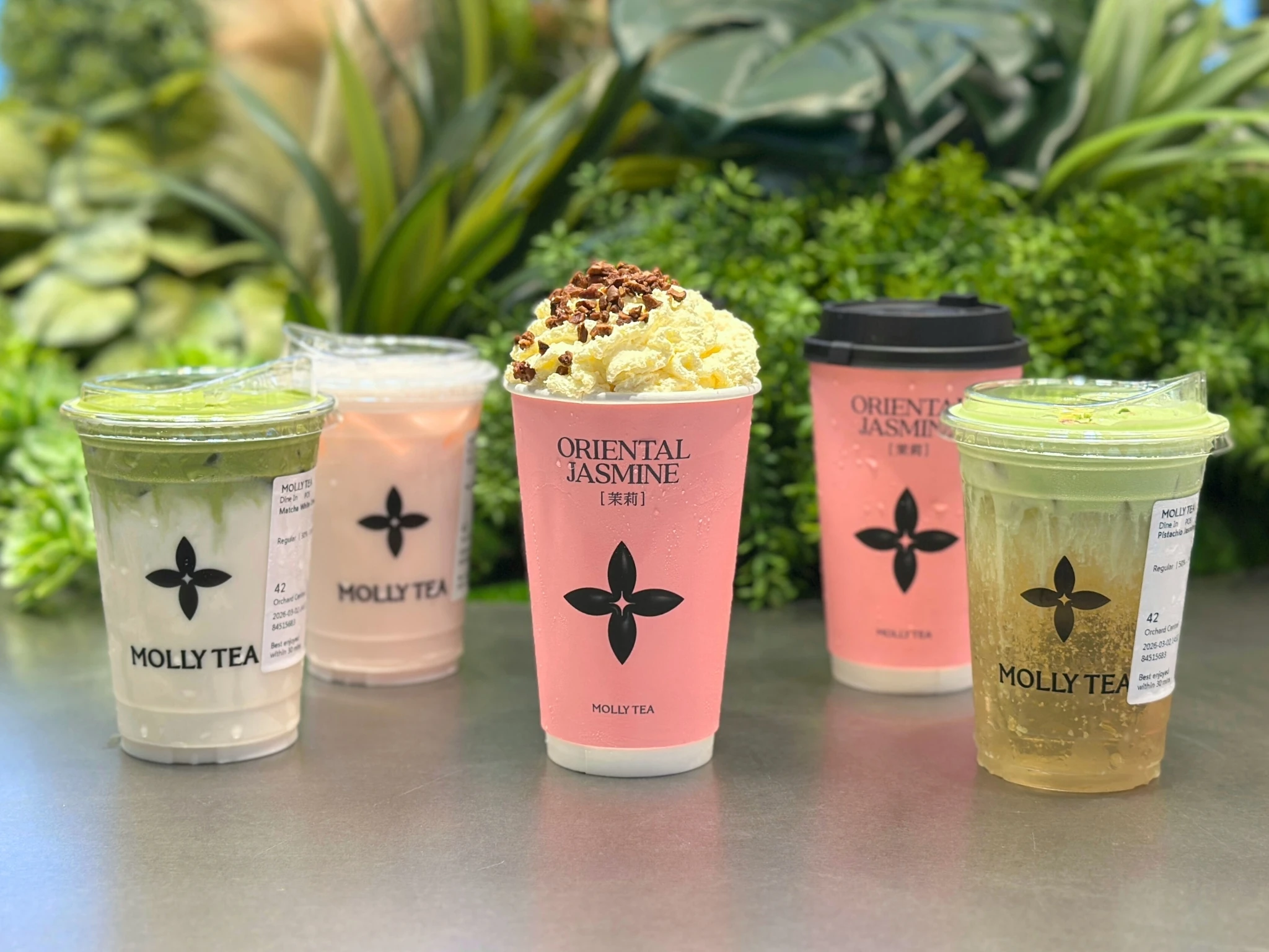 Molly Tea Orchard Central Singapore