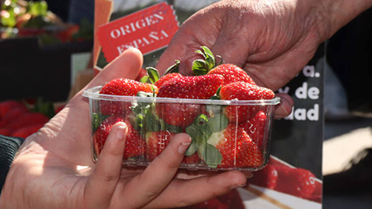 Fresas. Unión de Pequeños Agricultores y Ganaderos (UPA)