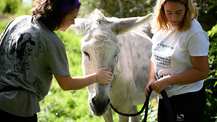 Santuari a L'Esquirol