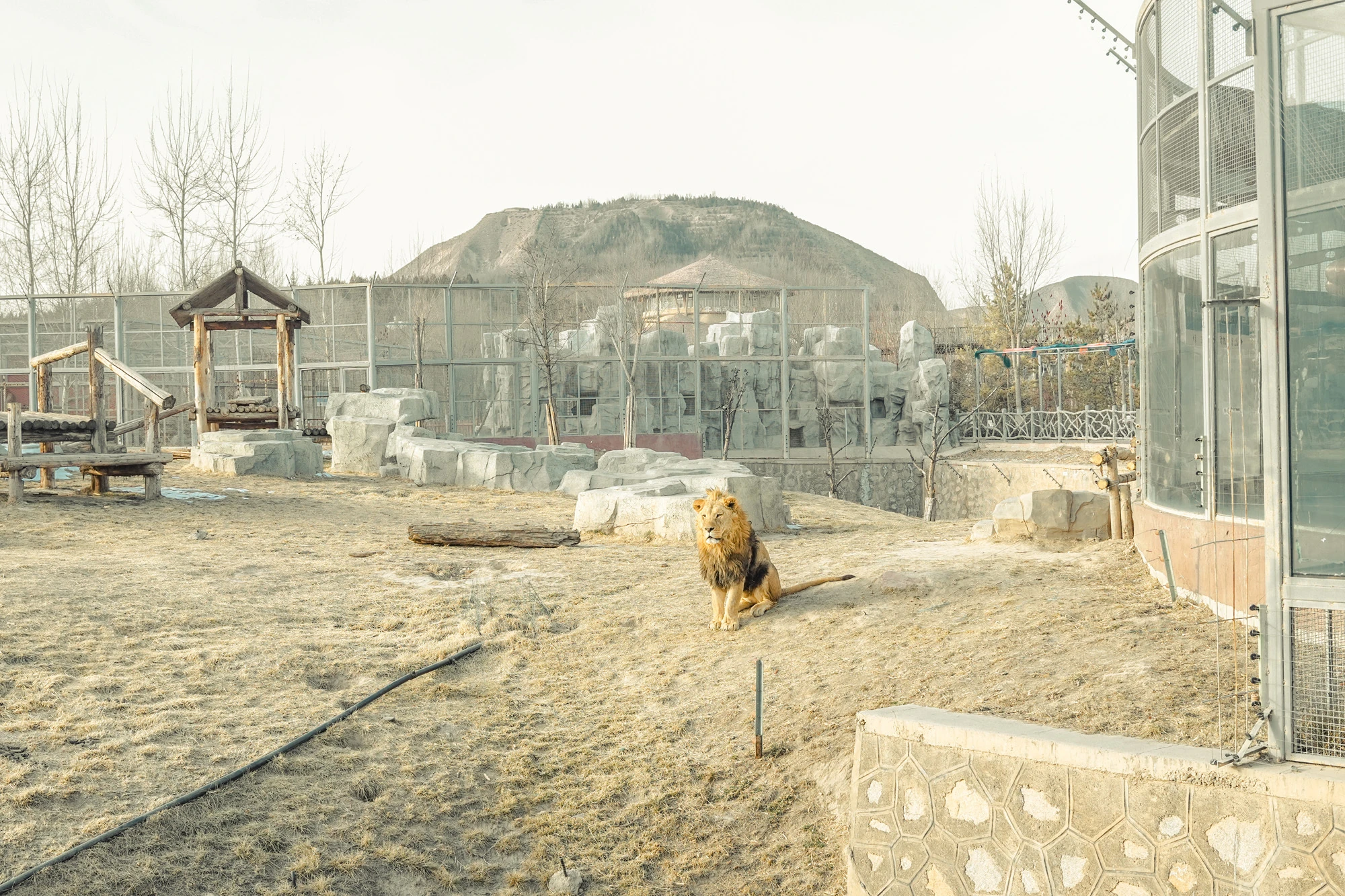 Sony World Photography Awards 2026