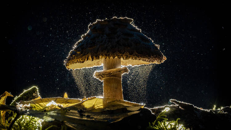 Sony World Photography Awards 2026 Sony World Photography Awards 2026