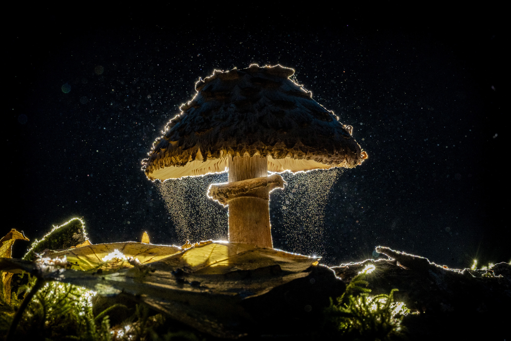 The Best Travel Photos From The Sony World Photography Awards 2026 Shortlist, Canada Reviews The Best Travel Photos From The Sony World Photography Awards 2026 Shortlist, Canada Reviews