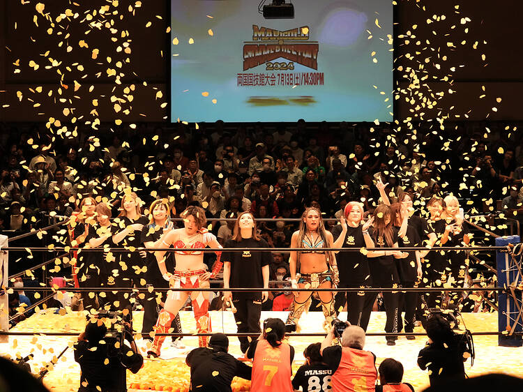 女子プロレスの魔力 女子プロレスの魔力