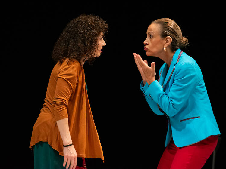 Las hermanas Vals (Falsedad)