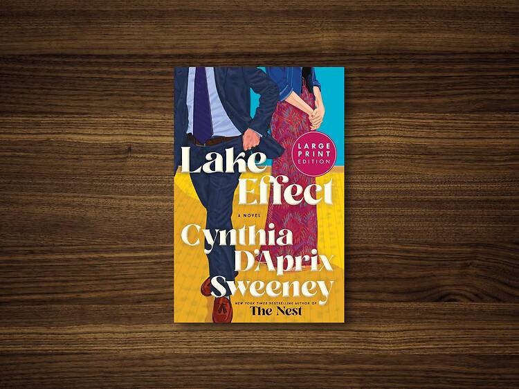 Lake Effect – Cynthia D’Aprix Sweeney