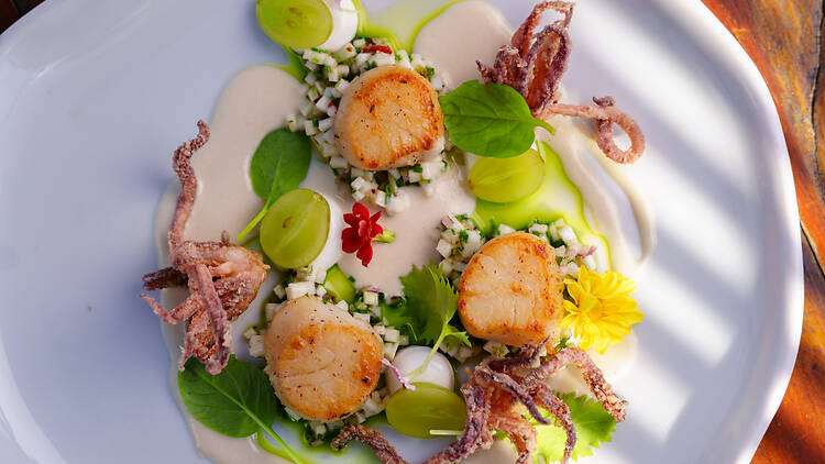 Vieiras sobre tartar de palmito Vieiras sobre tartar de palmito