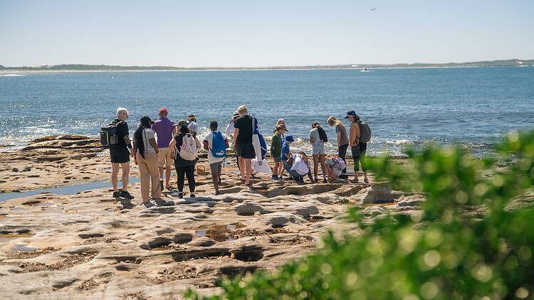 Ocean Lovers Festival