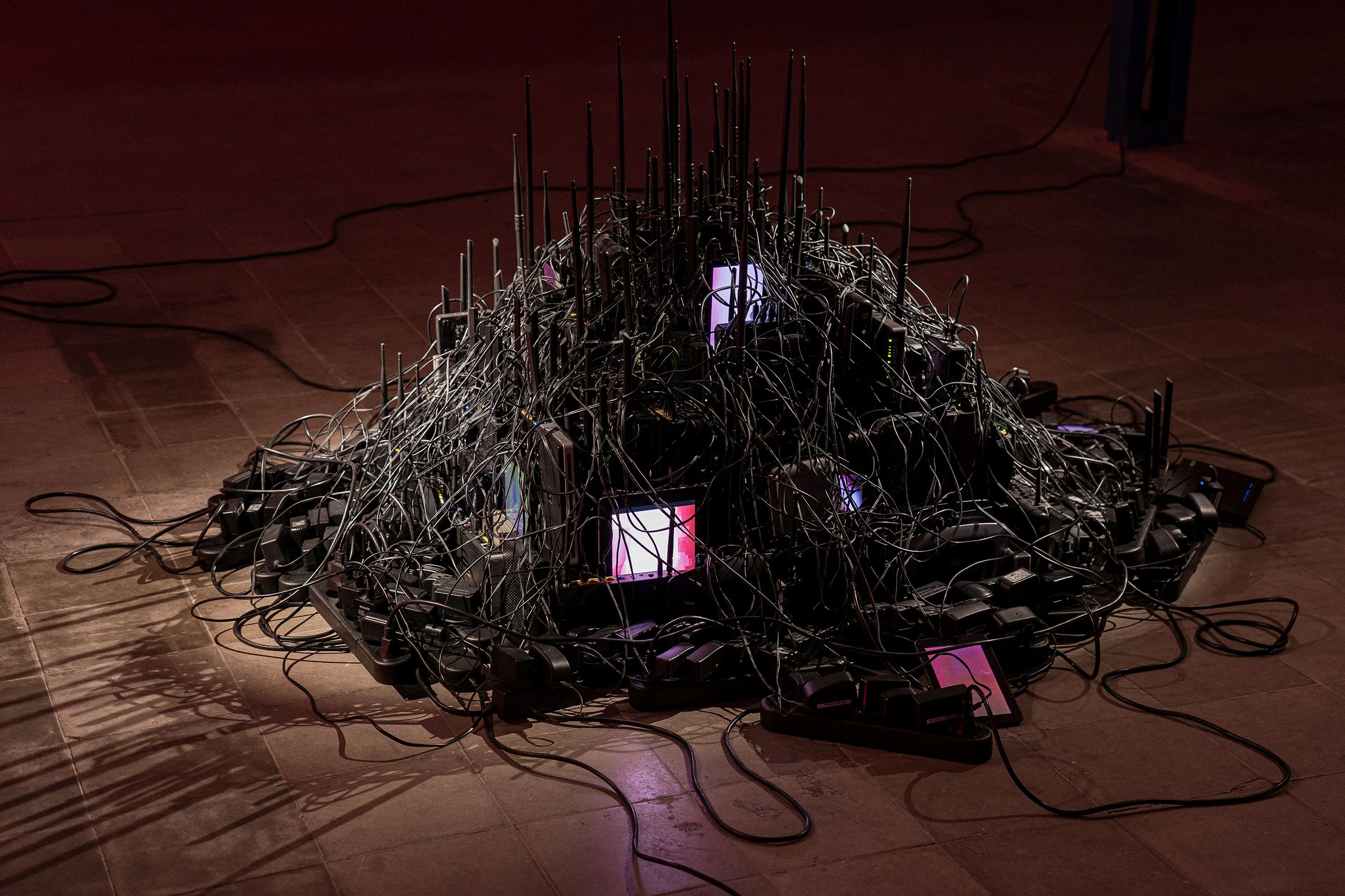 Gaviota. &copy;&nbsp;Maru Serrano