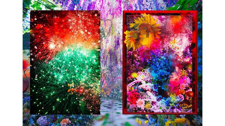 mirror, mirror, mirror mika ninagawa