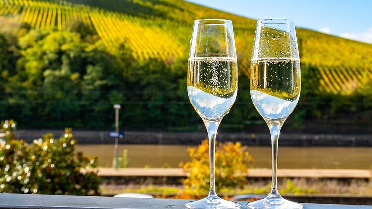 Sip the wines of the Moselle Valley